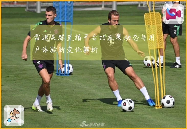雷速足球直播平台的发展动态与用户体验新变化解析