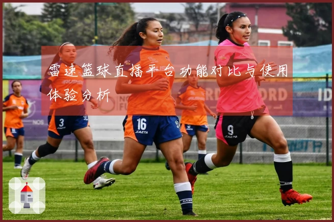 雷速篮球直播平台功能对比与使用体验分析