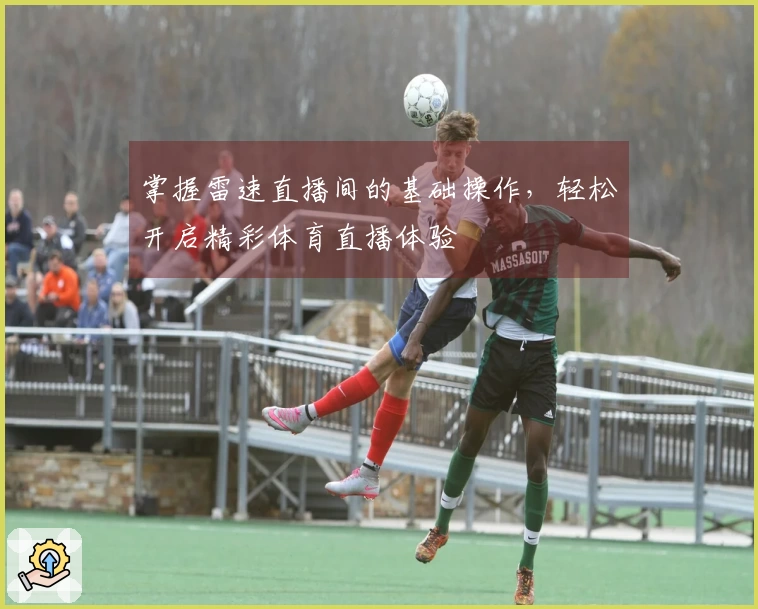 掌握雷速直播间的基础操作，轻松开启精彩体育直播体验