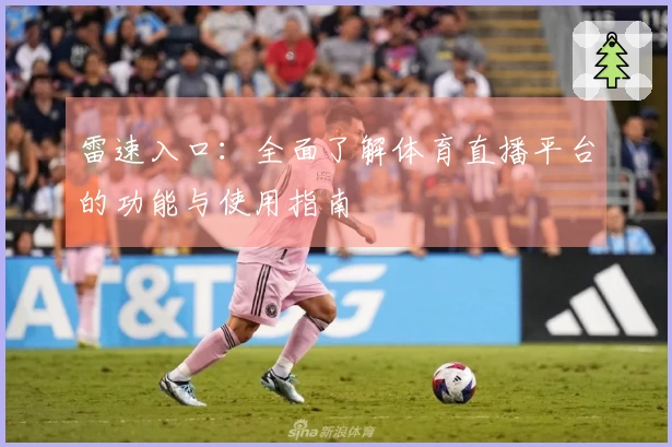 雷速入口：全面了解体育直播平台的功能与使用指南