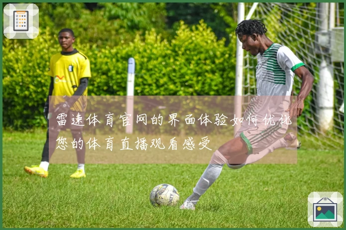 雷速体育官网的界面体验如何优化您的体育直播观看感受